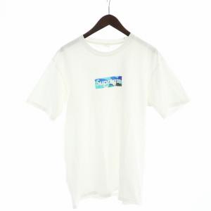 EMILIO PUCCI 21SS Box Logo Tee