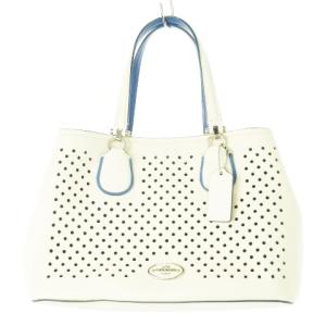 34971 スモール キット キャリオール 2way ショルダーバッグ ハンドバッグ レザー パンチング