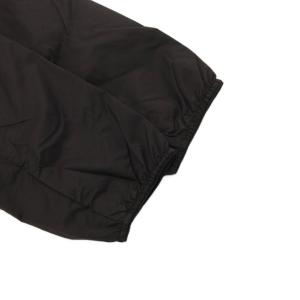 THE NORTH FACE タグ付き Swallowtail Vent Hoodie スワローテイルベントフーディ パーカー ナイロン