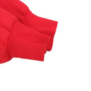 Champion REVERSE WEAVE 90s USA製 ヴィンテージ オハイオステート大学 スウェット