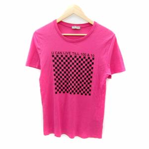 06SS エディスリマン Tシャツ ピンク