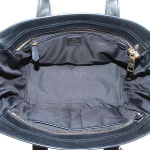 COACH スワッガー キャリーオール ハンドバッグ ショルダー 2WAY レザー パイソン型押し ロゴ ゴールド金具
