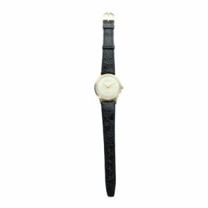 CITIZEN Deluxe PARA SHOCK PHYNOX 14K GOLD FILLED デラックス フィノックス