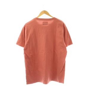 THE NORTH FACE PURPLE LABEL NT3103N Tシャツ カットソー 半袖 L ピンクブラウン /ES GY18