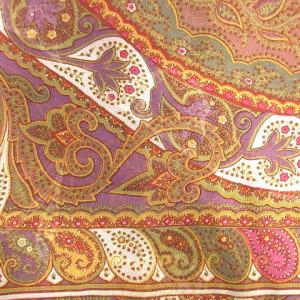 ETRO ストール ペイズリー柄 絹 シルク マルチカラー /MS GY19