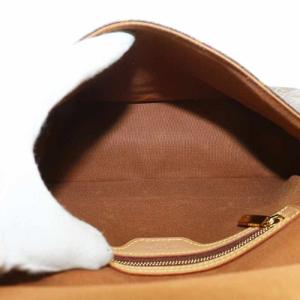 LOUIS VUITTON ミニルーピング ワンショルダー モノグラム ブラウン M51147
