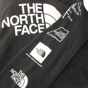 THE NORTH FACE パーカー プルオーバー 長袖  裏起毛ロゴ プリント アウトドア L 黒 ブラック /MN21 GY19