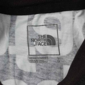 THE NORTH FACE Aop Box Fit Tee Tシャツ L 黒 ブラック 白 ホワイト 文字柄 クルーネック 半袖 /KW