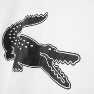 LACOSTE SPORT Tシャツ M REGULAR FIT 白 ホワイト クルーネック 半袖 ロゴプリント /CK22