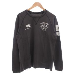 Tシャツ 長袖 クルーネック ロゴ プリント L グレー /MG