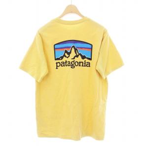 Fitz Roy Horizons Responsibili Tee Tシャツ カットソー 半袖 ロゴ