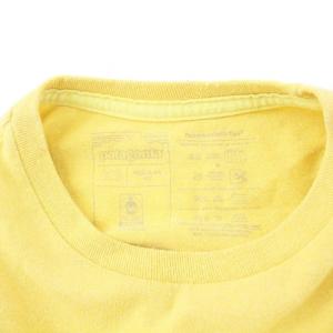 Patagonia Fitz Roy Horizons Responsibili Tee Tシャツ カットソー 半袖 ロゴ