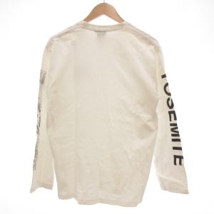 THE NORTH FACE ロンT Tシャツ L 長袖 クルーネック ロゴ プリント 白 ホワイト /AE GY12