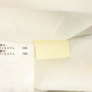 Diagram 21SS セミワイドパンツ ボタニカル ドロスト 36 マルチカラー