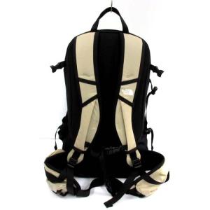 THE NORTH FACE Tellus 25 ナイロン ロゴ べージュ NM61811