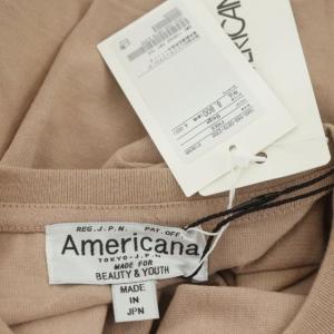 AMERICANA BEAUTY&YOUTH別注 Tシャツ カットソー プリント 半袖 ピンクベージュ