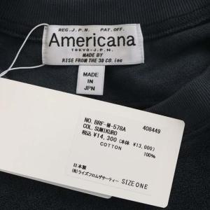 AMERICANA フレンチスリーブプルオーバー カットソー パイル地 チャコールグレー