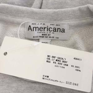 AMERICANA 22SS 14G Cotton S/S Print Sweat T-Shirt カットソー Tシャツ スウェット 半袖 プルオーバー