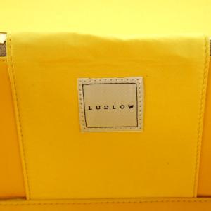 LUDLOW バニティバッグ ショルダーバッグ ハンドバッグ 2way ベロア ライトグリーン 赤 レッド