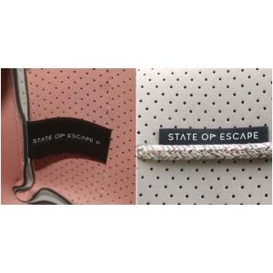 STATE OF ESCAPE ハンドバッグ ショルダーバッグ 2way ネオプレン ポーチ付き グレー