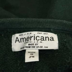 AMERICANA 裏起毛スウェットワンピース カットソー 長袖 ストレート 膝丈 プリント Vガゼット 緑 グリーン