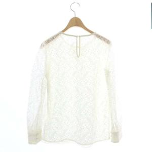 ANAYI 21SS リーフチュールレースクルーブラウス 長袖 シアー シースルー 38 白 ホワイト