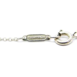 TIFFANY&Co. オーキッドドロップ ネックレス 925 シルバー