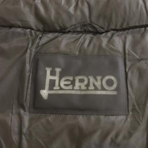 HERNO ダウンジャケット 44 グレー