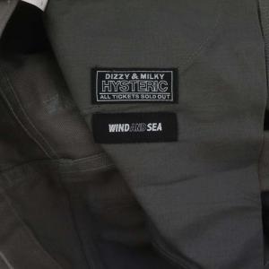 HYSTERIC GLAMOUR Double Knee Painter Pants パンツ ×WIND A ペインターパンツ ボトムス