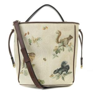 ETRO 2way リス PVC クロスボディ ショルダーバッグ ブラウン