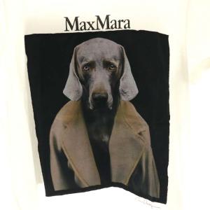 Max Mara 2022 表参道限定 ウィリアム・ウェグマン Tシャツ S ホワイト