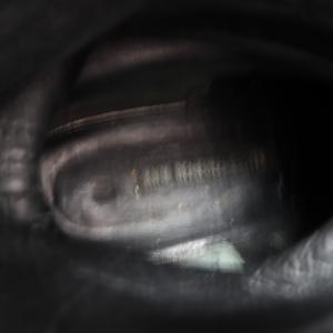 ANN DEMEULEMEESTER ショートブーツ レザー 37.5 ブラック