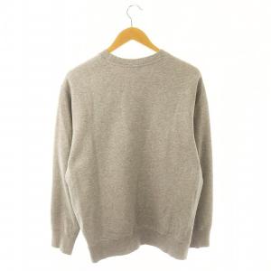 THE NORTH FACE PLAIN LOGO CREW スウェット プルオーバー 長袖 裏起毛 L グレー NT62241R