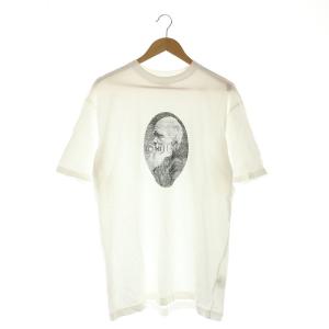 ダーウィン Tシャツ カットソー 半袖 クルーネック プルオーバー コットン XL 白 ホワイト /YQ