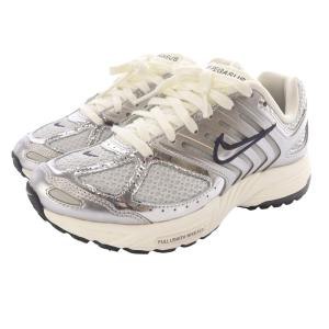 NIKE Air Pegasus 2K5 Metallic Silver and Photon Dust