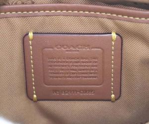 COACH ウィロウ カメラ バッグ カラーブロック ショルダーバッグ ワンショルダー 斜め掛け レザー ホワイト