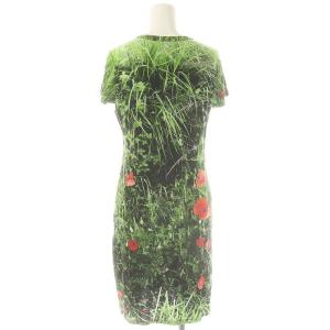 agnes b. 転写 ポピー カットソー ワンピース 1 緑 黒 赤 /MI OS