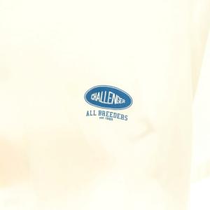 CHALLENGER FLAME FISH TEE Tシャツ カットソー 半袖 L ホワイト /DF OS AD