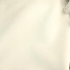 SNIDEL 24AW ボリュームパーカー ジップアップ ラメ F グレー /DF OS SH