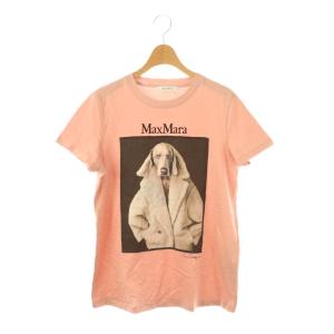 23年製 白タグ VALIDO ウェグマンプリントTシャツ S ピンクベージュ