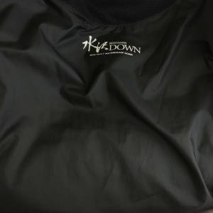 DESCENTE ALLTERRAIN 水沢ダウン MOUNTAINEER-L ダウンジャケット