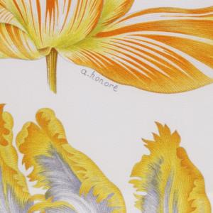 HERMES スカーフ カレ90 Tulipomanie シルク ホワイト