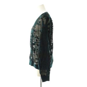 Ameri VINTAGE アメリ AMERI DEVORER FLOWER SHEER TOP ニット プルオーバー シアー F