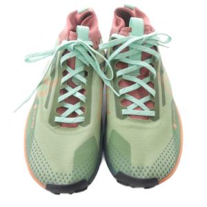 NIKE React Pegasus Trail 4 Gore-Tex Alligator/Mint Foam