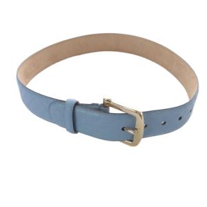 GUCCI マイクログッチシマ ベルト レザー ブルー 281548 /YO2 OH