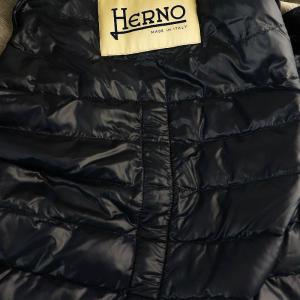 HERNO 切り替えショートスリーブ ダウンジャケット 42 グレー ネイビー