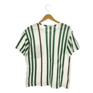 COMME des GARCONS HOMME PLUS Tシャツ S 白 ホワイト 緑 グリーン ストライプ柄 半袖 クルーネック PE-T050