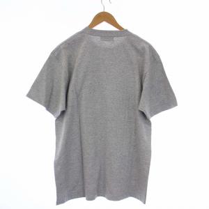 WIND AND SEA Tシャツ カットソー 半袖 プリント ガールフォト M グレー WDS-CS-354 タグ付き