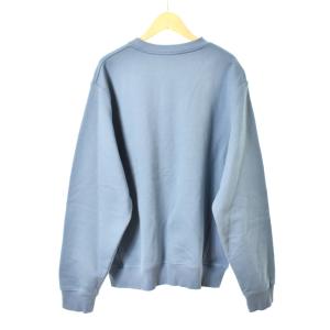DIOR HOMME 21AW PETER DOIG コラボ ロゴ トレーナー M ブルー