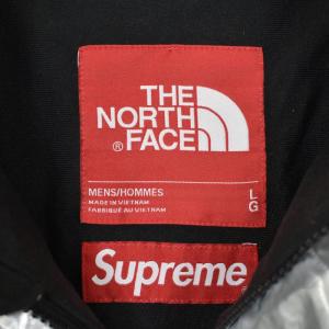 Supreme THE NORTH FACE 18SS Metallic Mountain Parka